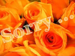 Orangefarbene Rosen