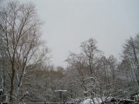 Vorschau: Winterlandschaft, schneeweiße Bäume