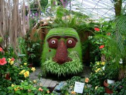Blumen im Gewächshaus mit Blumengesicht