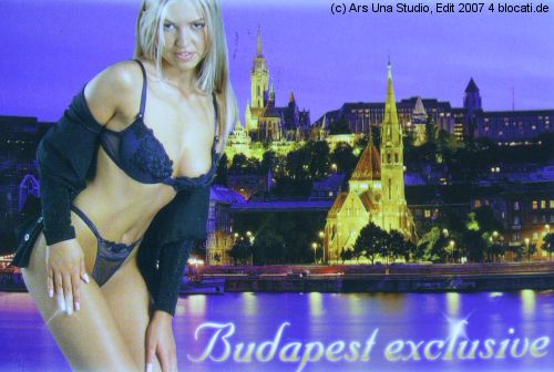 blonde leicht bekleidete Schönheit vor der Skyline von Budapest