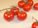 Tomaten